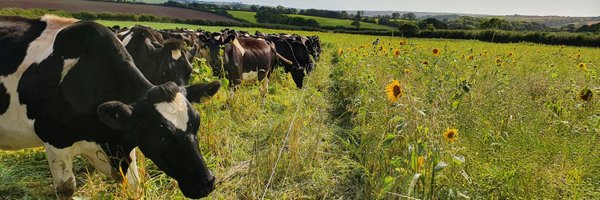 first_milk Profile Banner