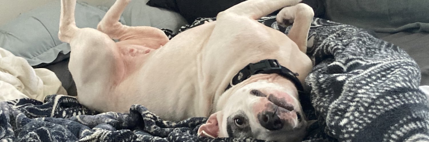 🅿️apá🪐❄️ banner