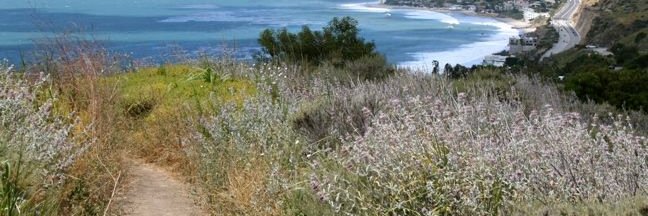 jacob blumoff banner