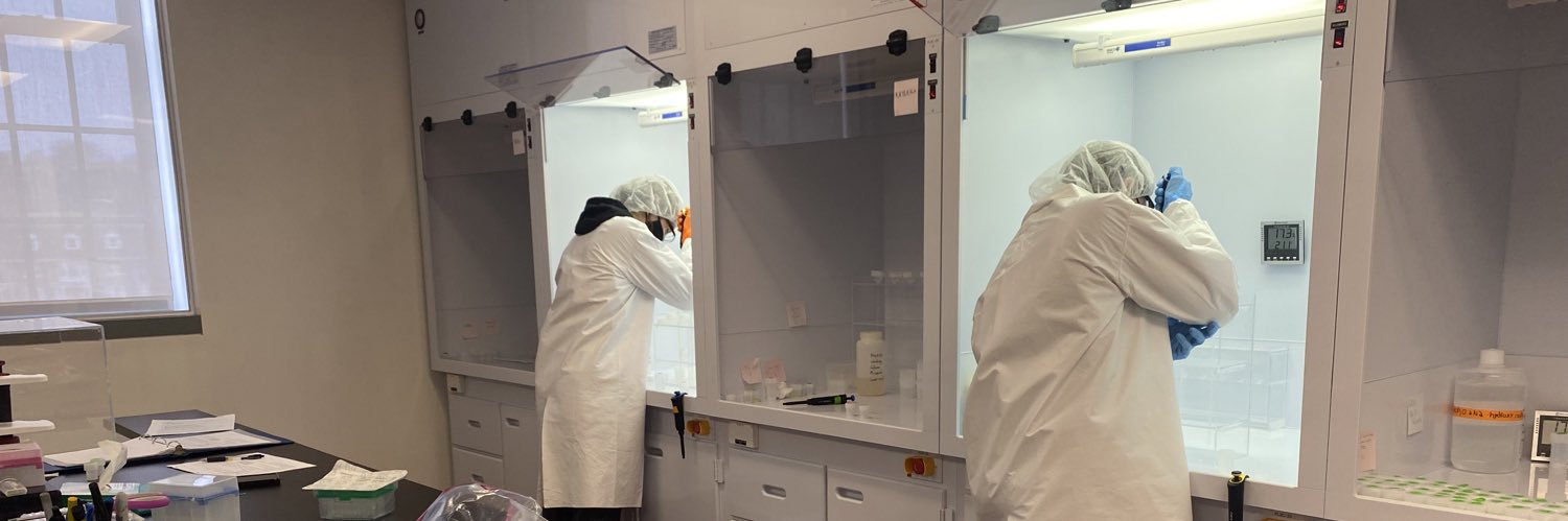 Dr. Steph Walker banner