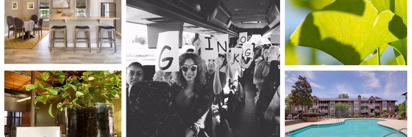 GinkgoRes Profile Banner