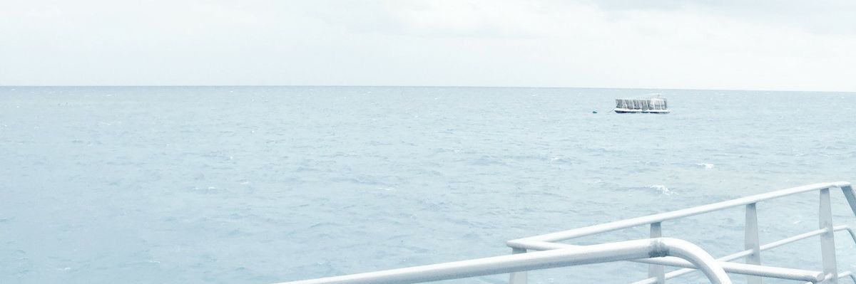 WOOZY. banner