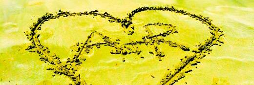 ALynn82's profile banner image