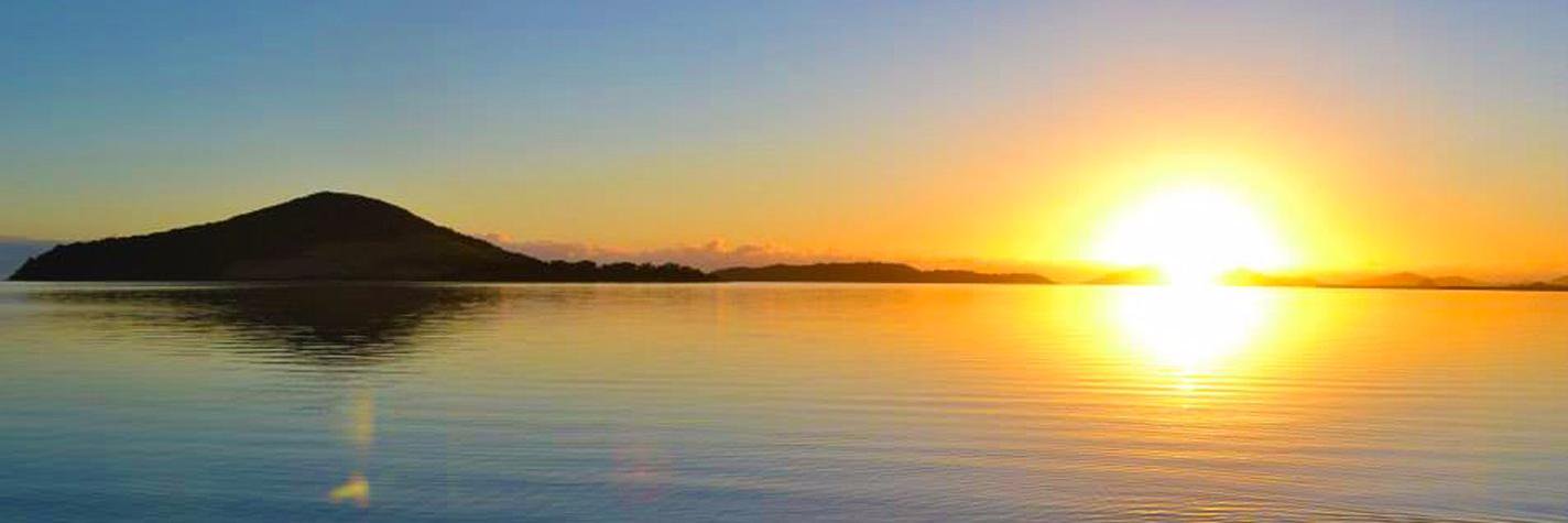 SuncoastFiji's profile banner image