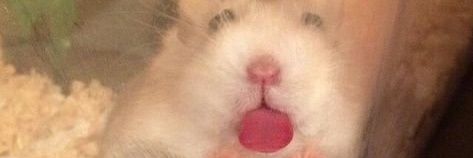 Mar_F_P's profile banner image