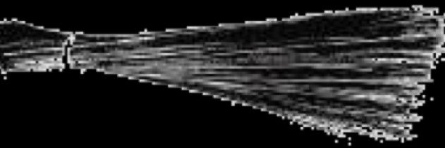 BunuRout's profile banner image