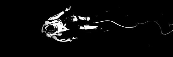 OsnesDevon's profile banner image