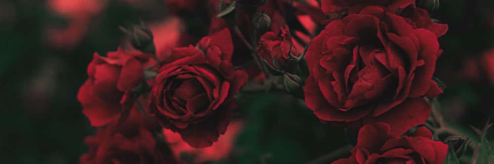 ___mooder's profile banner image