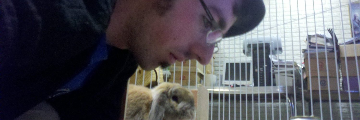 Oddbunny 🐰 banner
