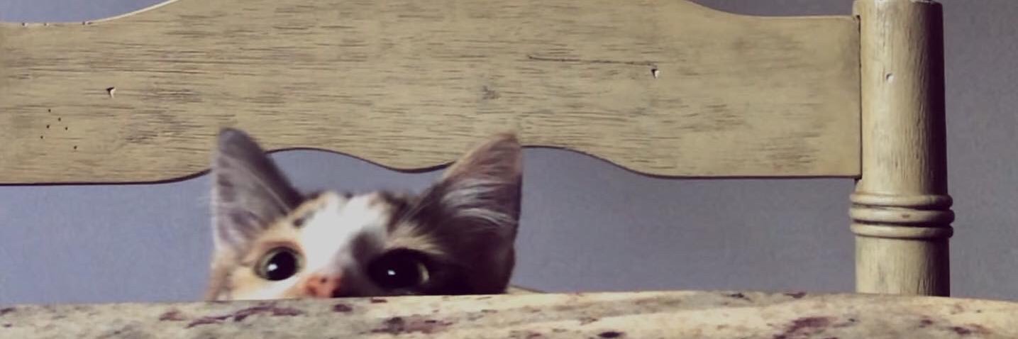 DarthNilza's profile banner image