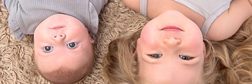 Stephanie O'Brien banner