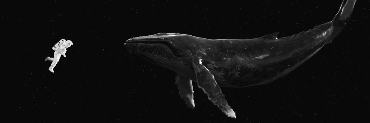 ccard_'s profile banner image