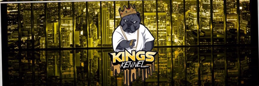 triggaw's profile banner image