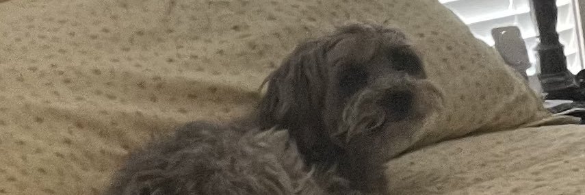Prissy1972's profile banner image