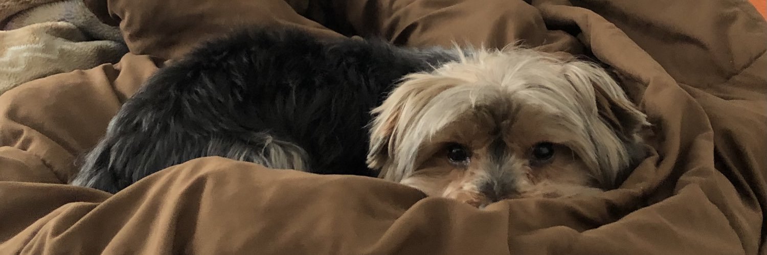JeanSampe's profile banner image