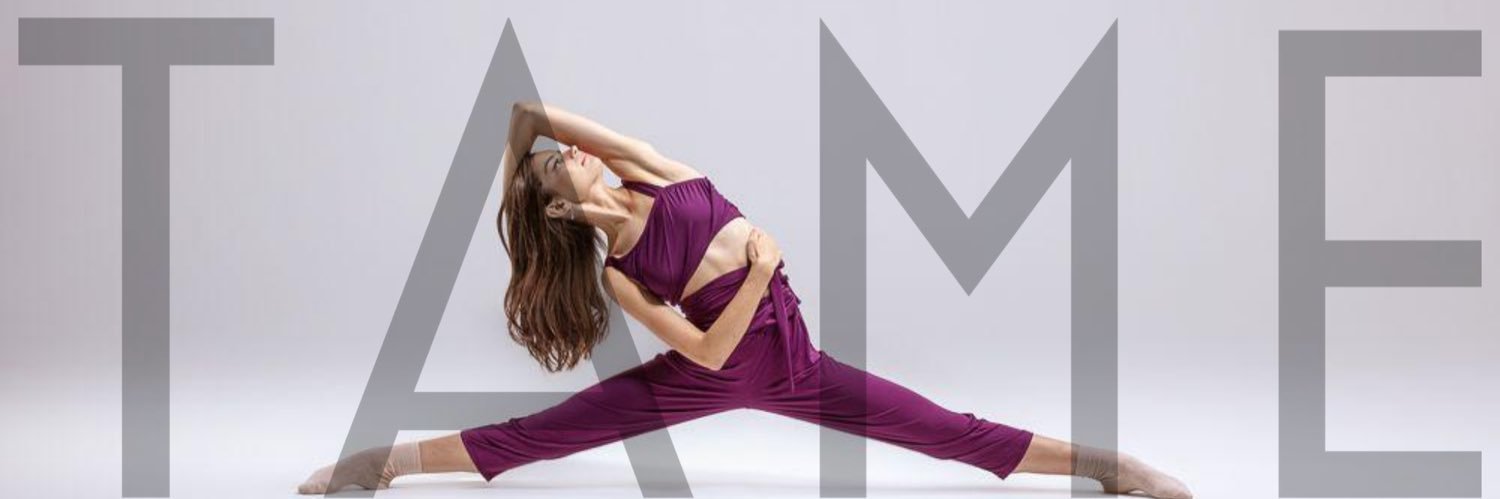 TAMEdance's profile banner image