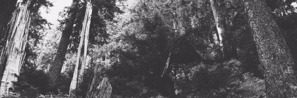 EaHa_Westvan's profile banner image