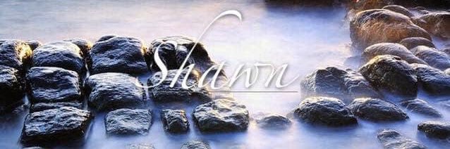 Mingchung11's profile banner image