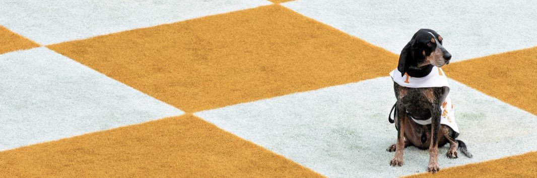 bte3422's profile banner image
