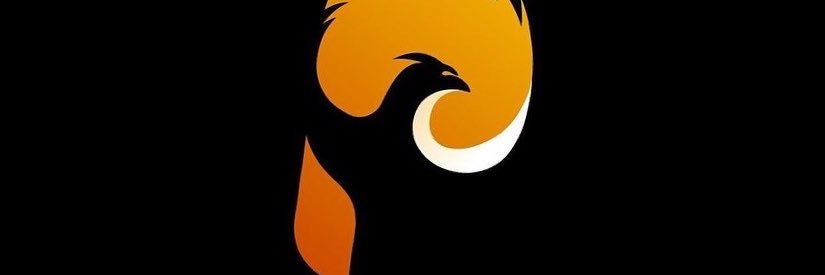 PhoenixEntLlc's profile banner image