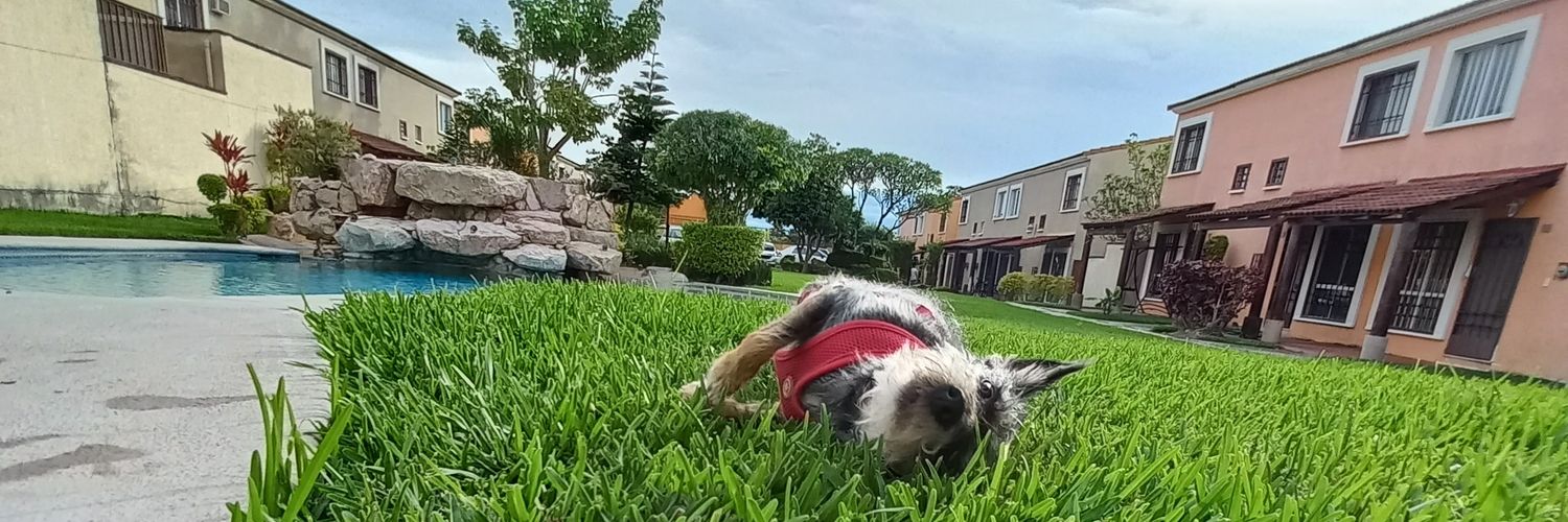 yukithalvarez's profile banner image