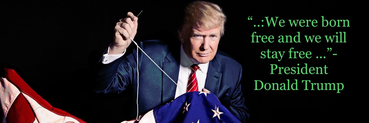 WeThePeople #45/47. #MAGA banner