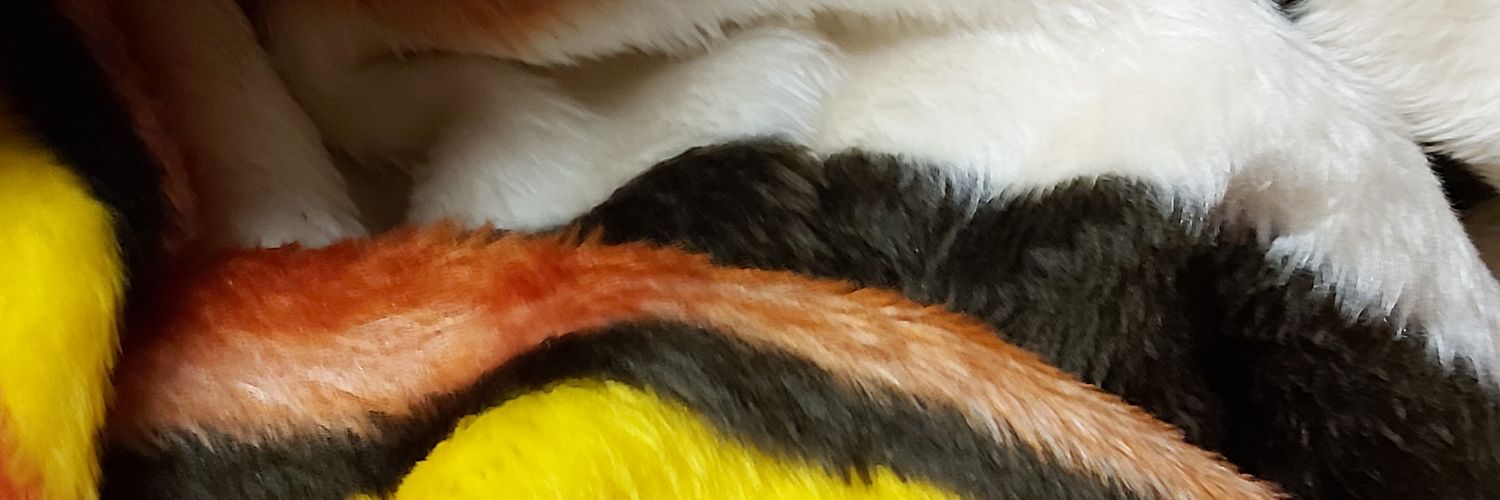 BarKuschel's profile banner image