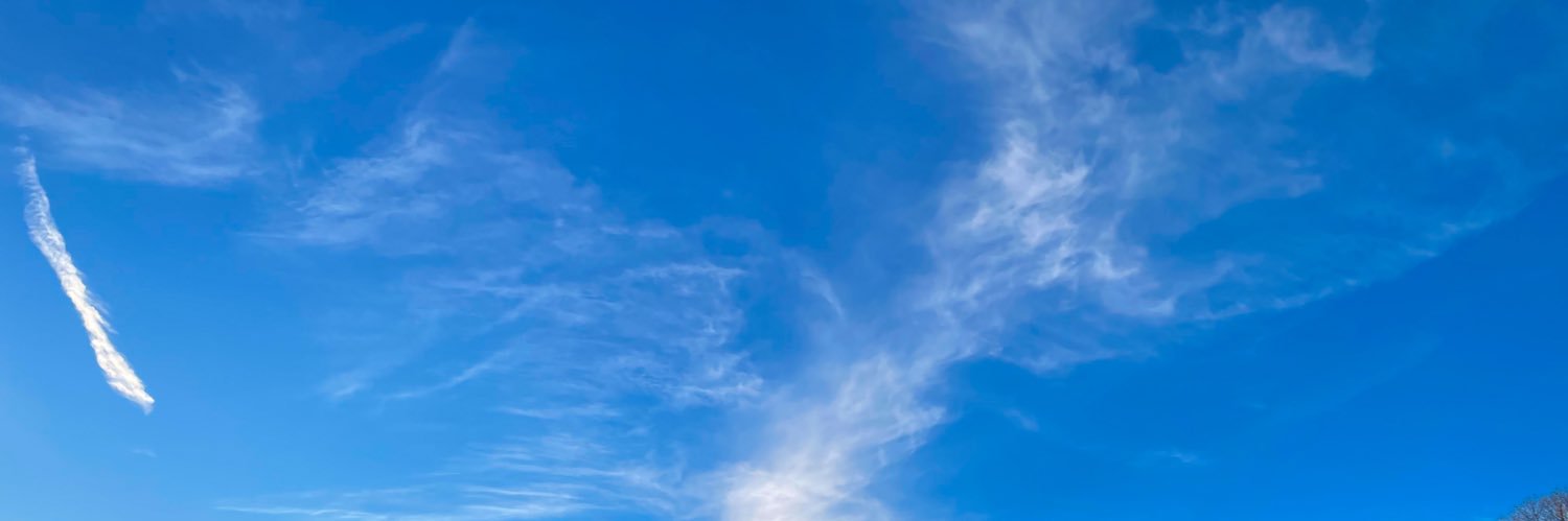 PDBax's profile banner image