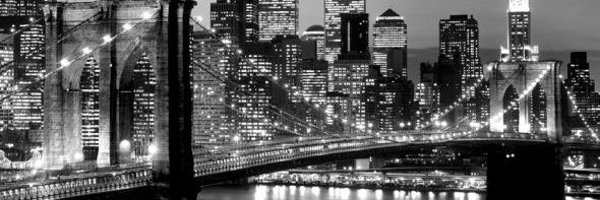 CatLilDavis Profile Banner