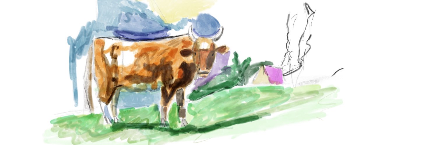 Puko banner