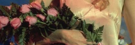 dumbassbitch44's profile banner image