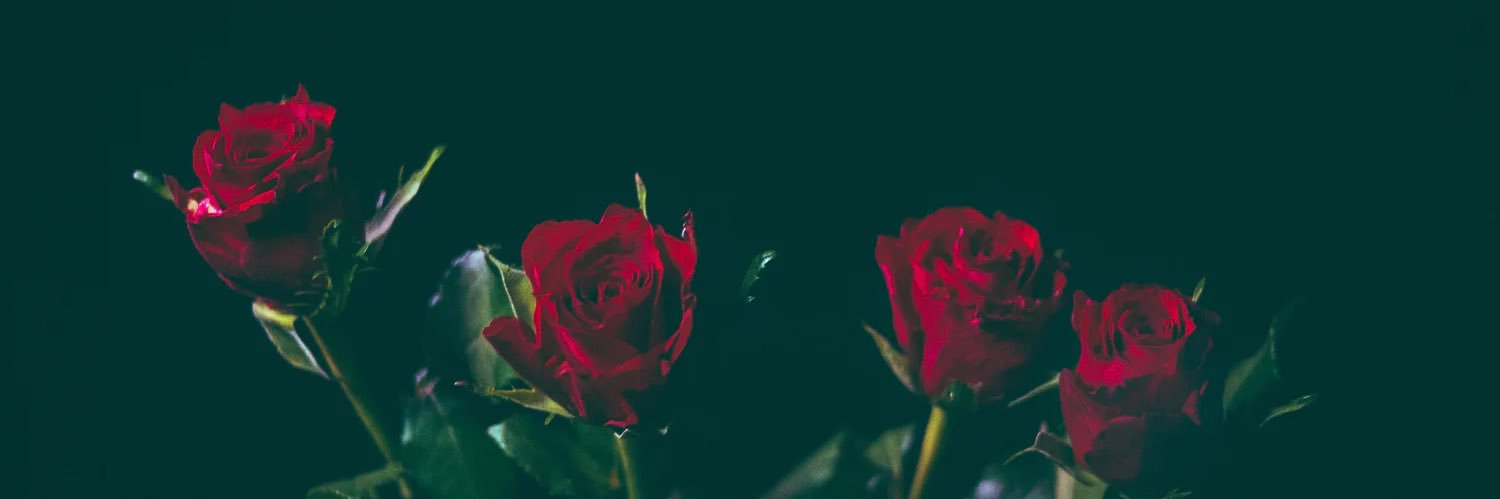 Thatsdomdotcom's profile banner image