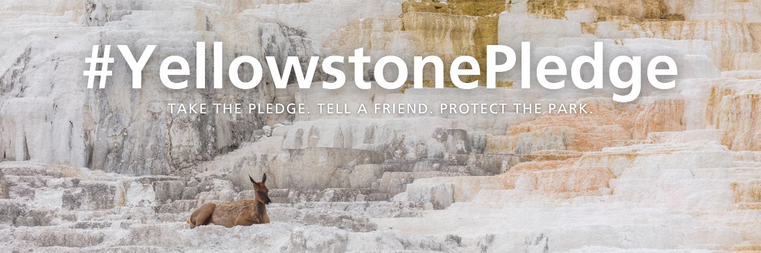 Yellowstone National Park Profile Banner
