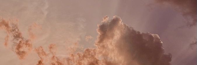 shaylanmartin_'s profile banner image
