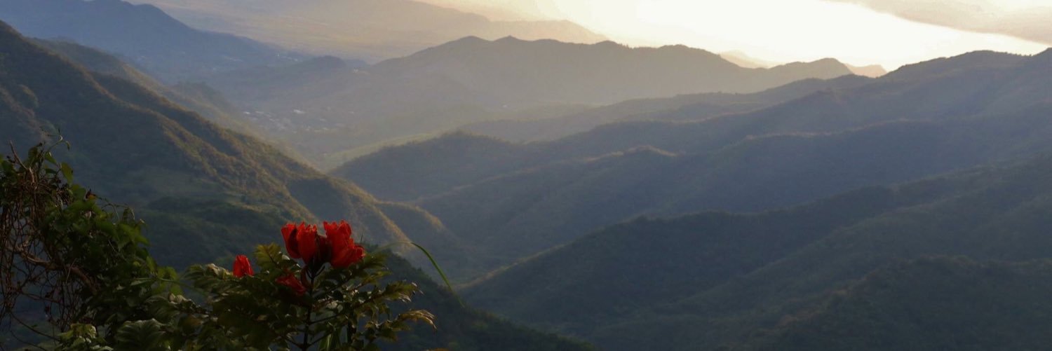 adiazcollazo's profile banner image