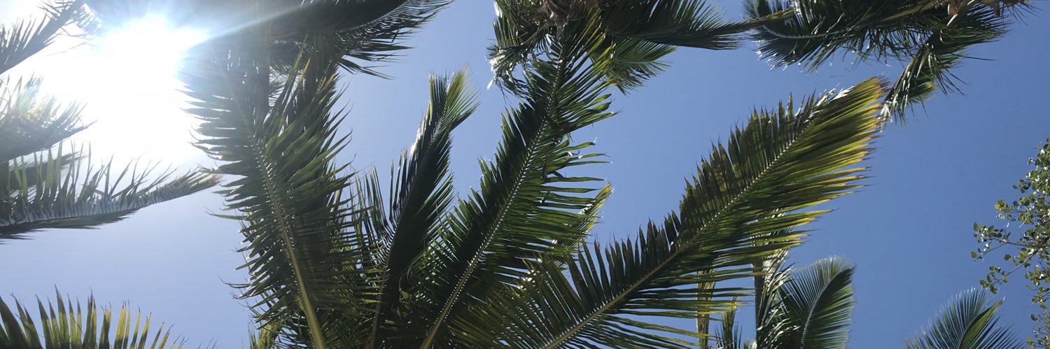 chloe_harding_'s profile banner image
