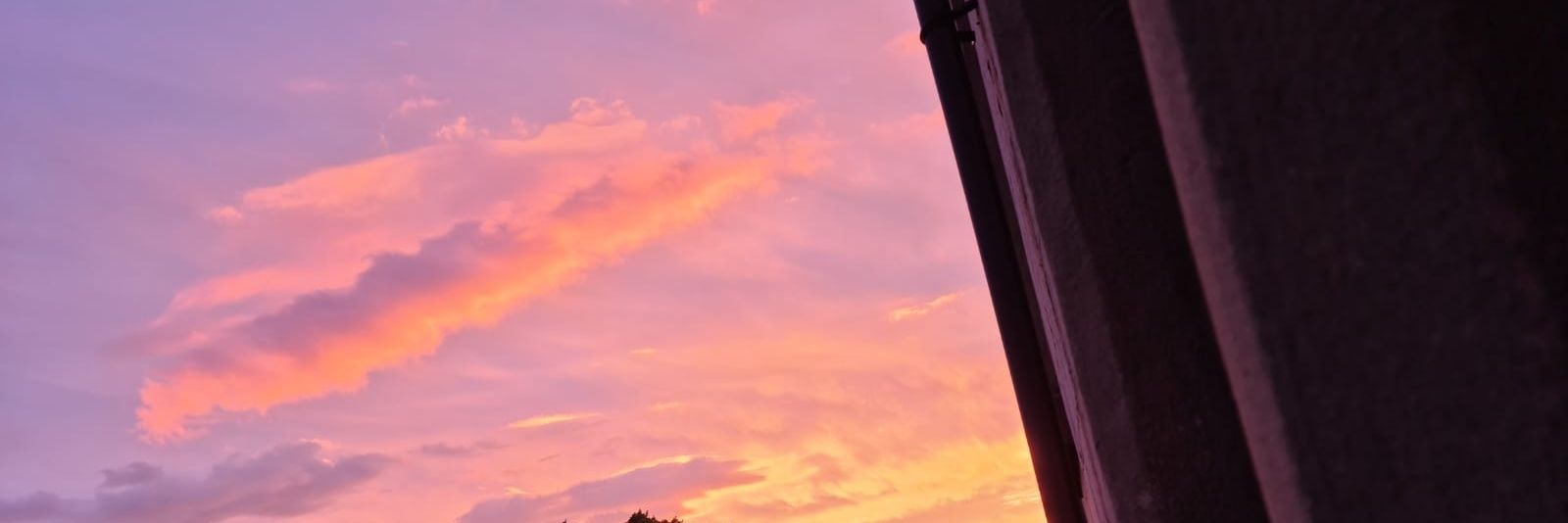EllieLouT's profile banner image