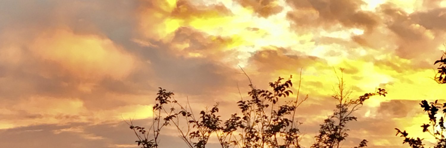 mscoy29's profile banner image