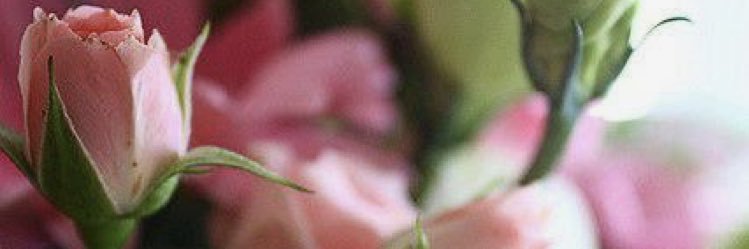 may_sauod's profile banner image