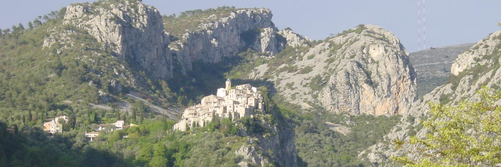 Mathieu Millo banner