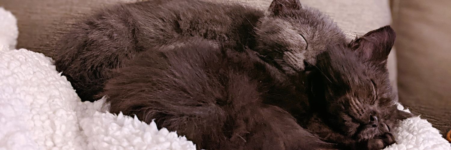 🍓CozyStrawb🍓 banner