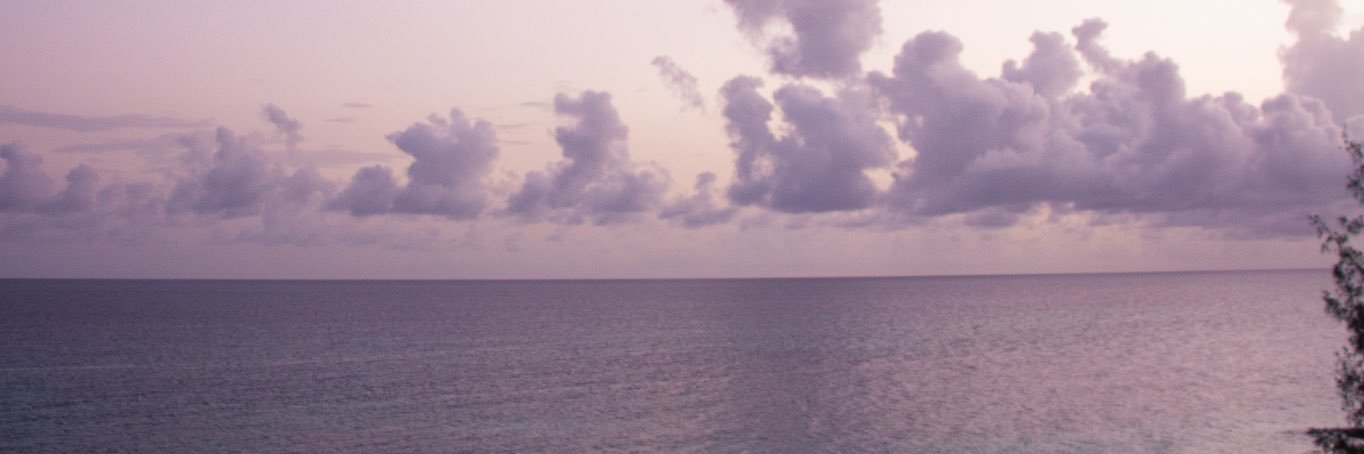 IamRavization's profile banner image