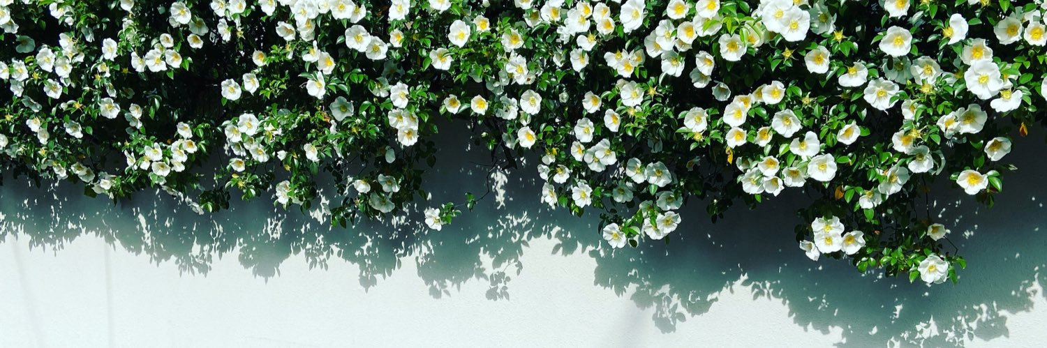 コノミ banner