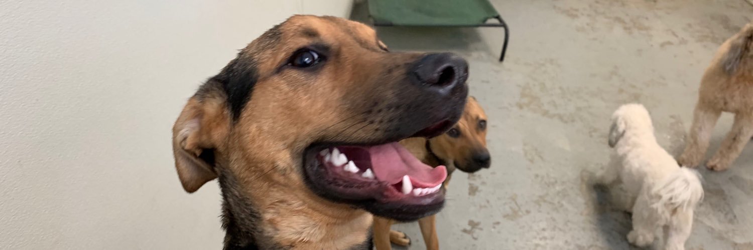 kristinalands's profile banner image