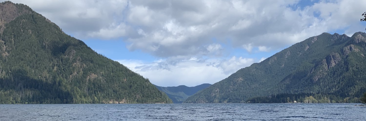 LindenDan's profile banner image