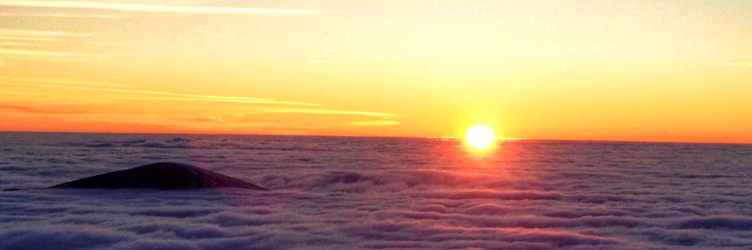 NeeNeeLJ's profile banner image