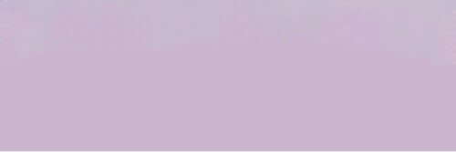 AnimeUniversal's profile banner image