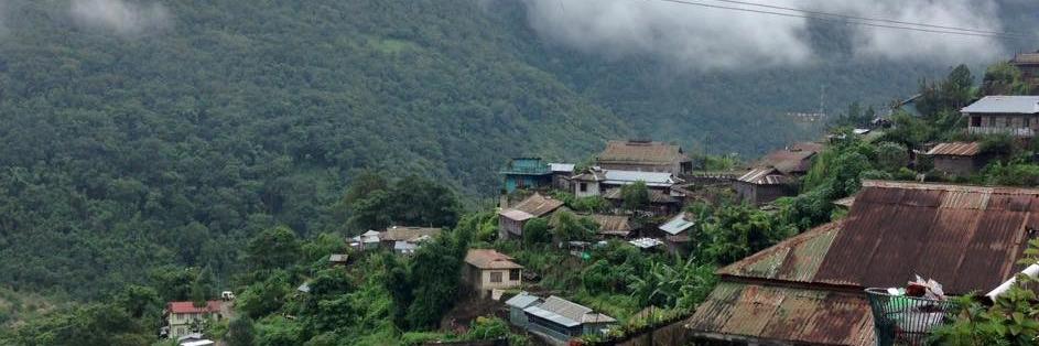 Alex Waterman banner