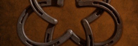 loschevynovas's profile banner image