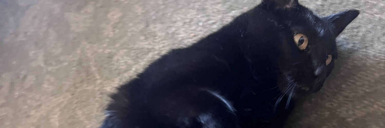 ttylkyla's profile banner image